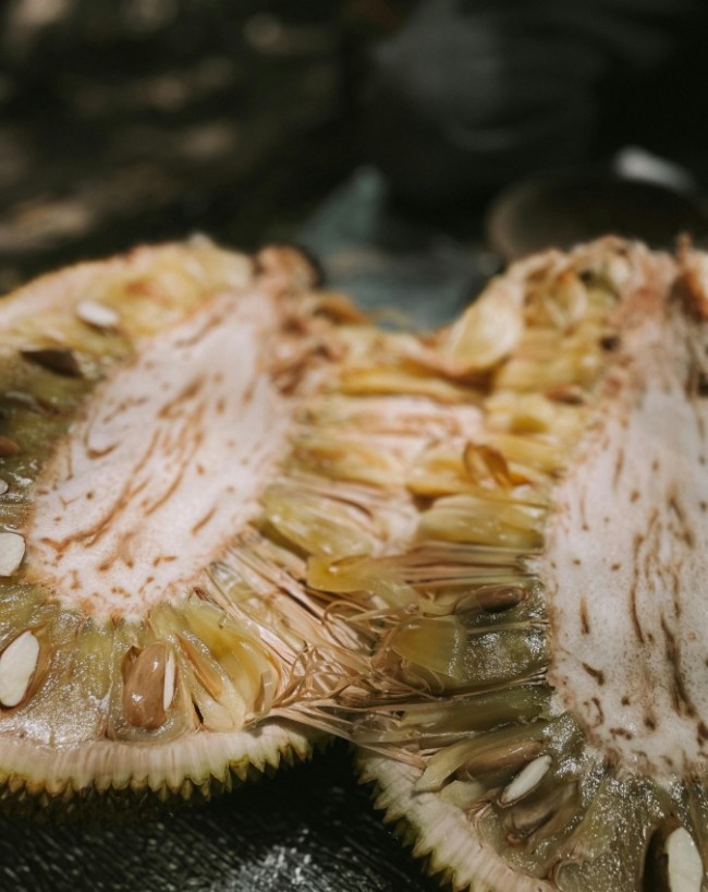 Jackfruit Side Effects-1-2