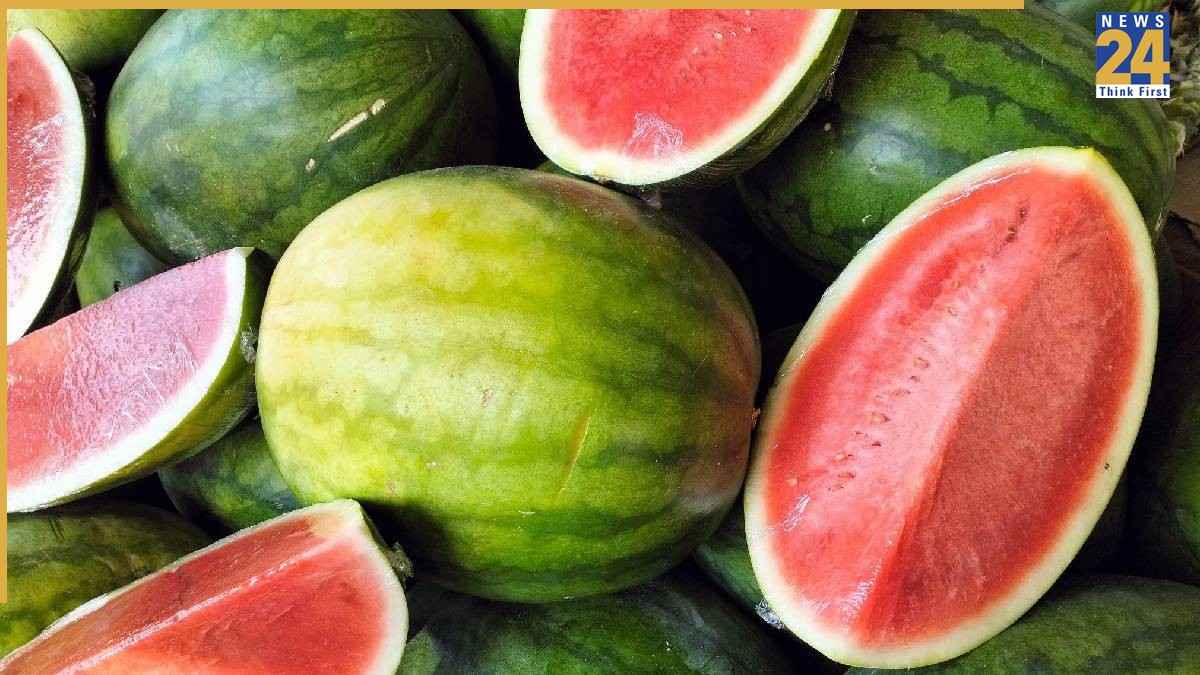 भारत के किस शहर को कहा जाता है तरबूज की राजधानी? 99% लोग नहीं जानते जवाब