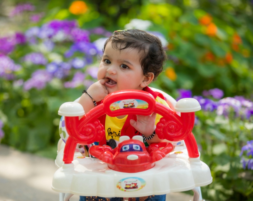 Bizarre Laws World-1-2