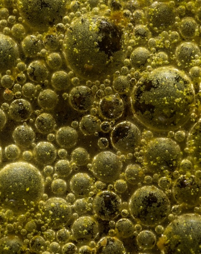 Why Cotton Is Placed In Nose After Death-1-2-3-4-5