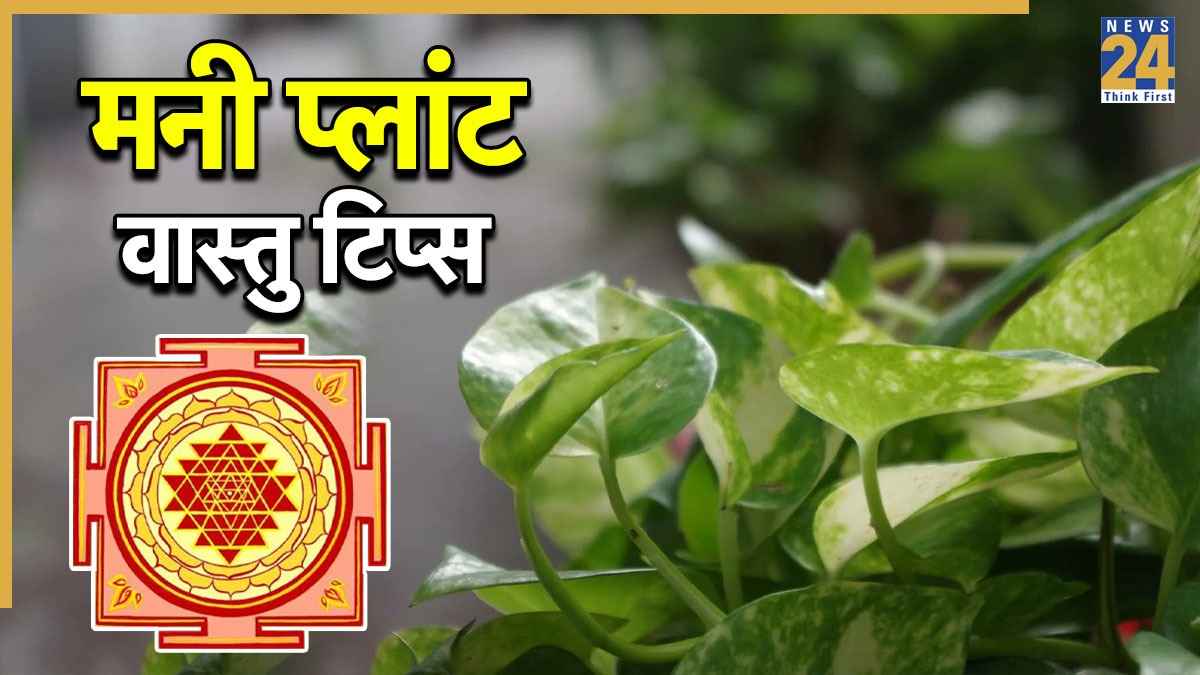 Money Plant Vastu: मनी प्लांट लगाते ही बरसेगा पैसा! मां लक्ष्मी की कृपा से होगा धनलाभ, इन नियमों का रखें ध्यान