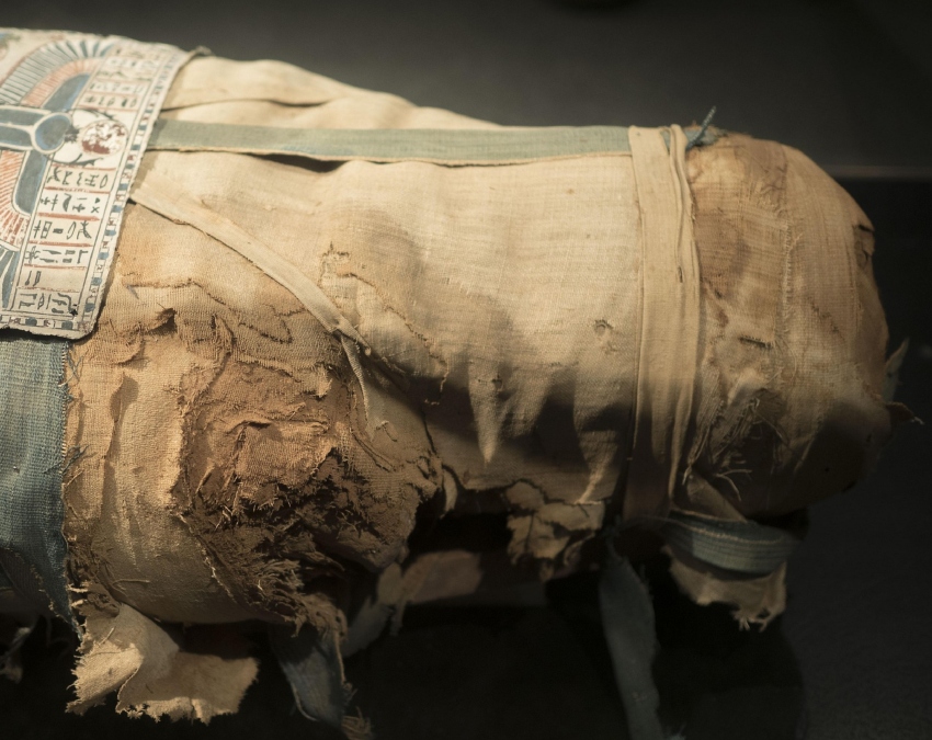 Ramesses Ii Passport-1-2-3-4-5