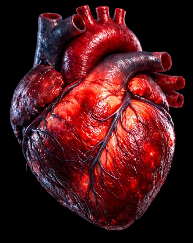 Heart Swelling Signs-1-2-3-4-5