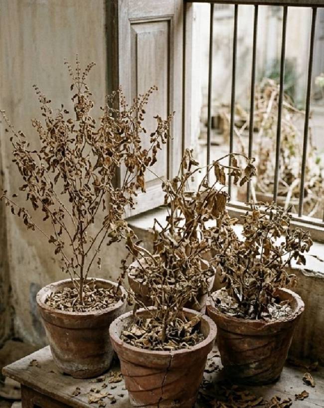 Akshaya-Tritiya-1-2-3-4-5-6-7