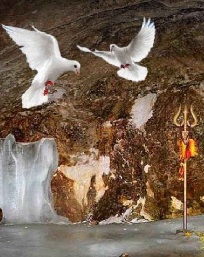 अमर है कबूतरों का यह जोड़ा