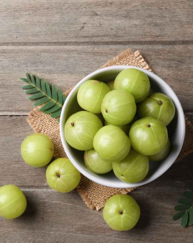 शुरुआत और आंवले का चुनाव