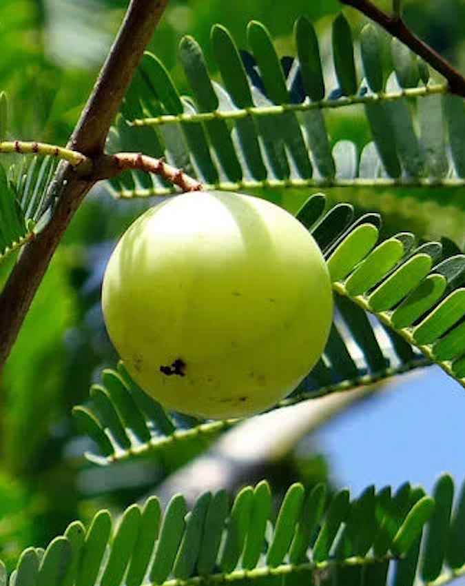 करोड़ों का टर्नओवर और रोजगार