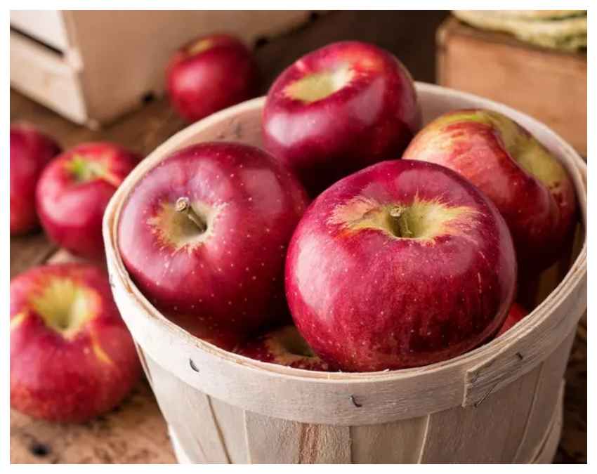 ₹1.05 लाख में बिका एक सेब, जानकर रह जाएंगे दंग