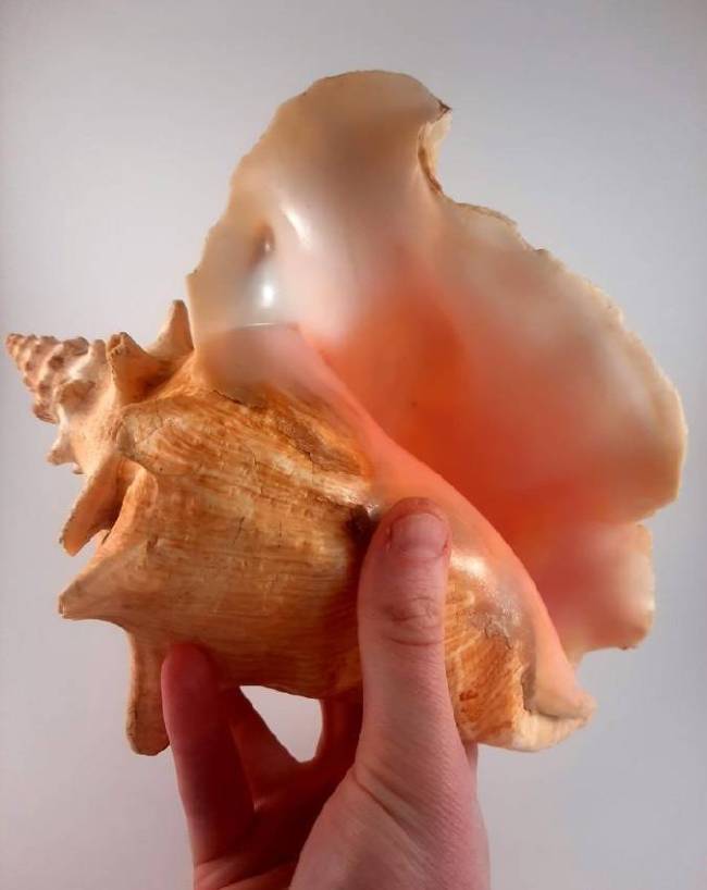 Badrinath-Yatra-1-2-3-4-5