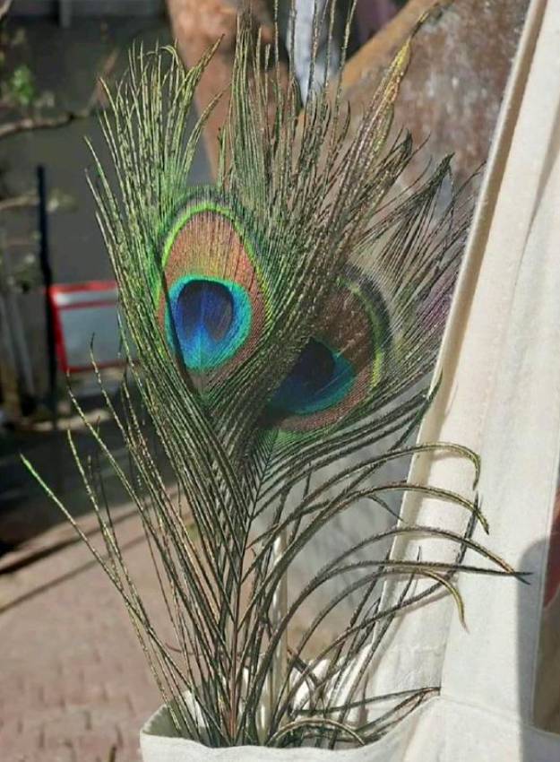 Bedroom-Vastu-Tips-1-2-3-4-5-6