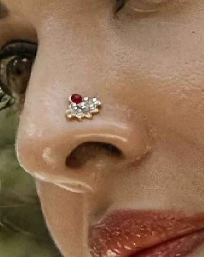 नाक है वैभव और धन आकर्षण का संकेत