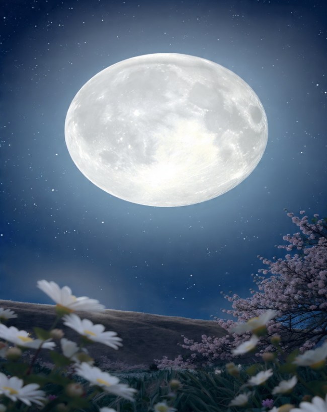 Flower Moon 2026, Full Moon Date, Flower Moon Significance, May Full Moon, Astronomical Event-1-2-3