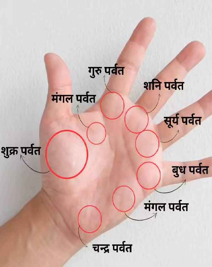 हथेली पर धन योग