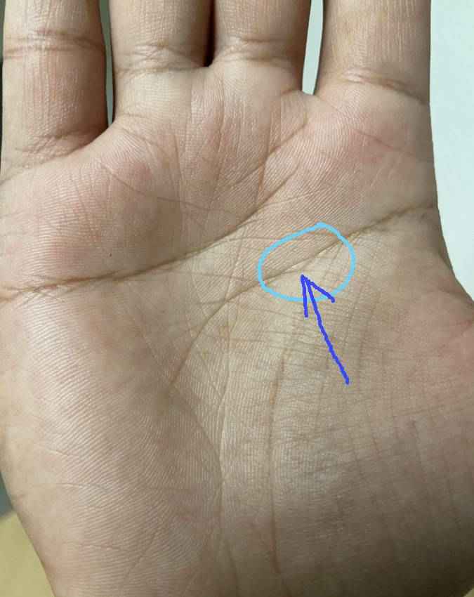 मस्तिष्क रेखा पर द्वीप का असर