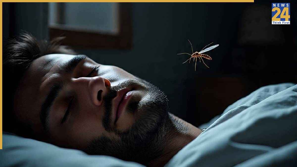 how mosquitoes find humans at night (6)