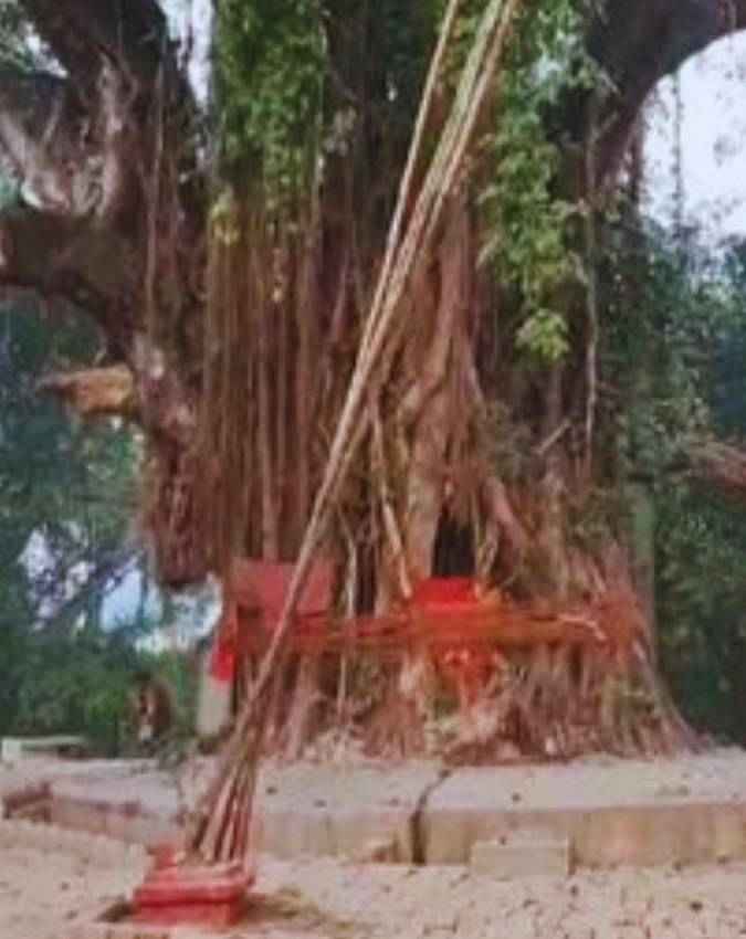 कुलदेवता को ऐसे करें प्रसन्न
