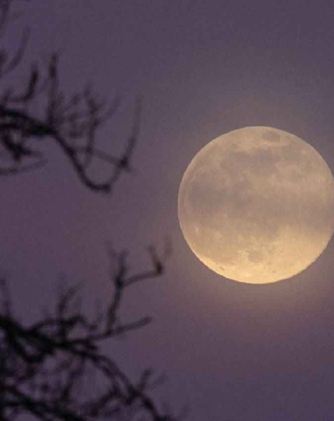 केतु-चंद्रमा का ग्रहण योग