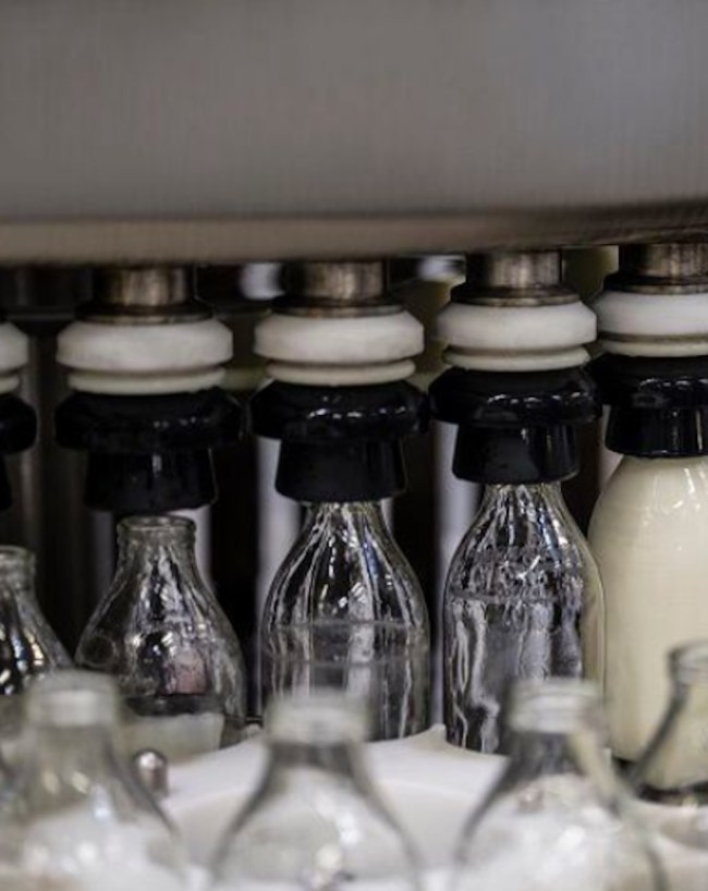 Non veg milk, India US Trade Deal, Blood Meal, Dairy Products Import, Bovine Spongiform Encephalopathy-1-2-3