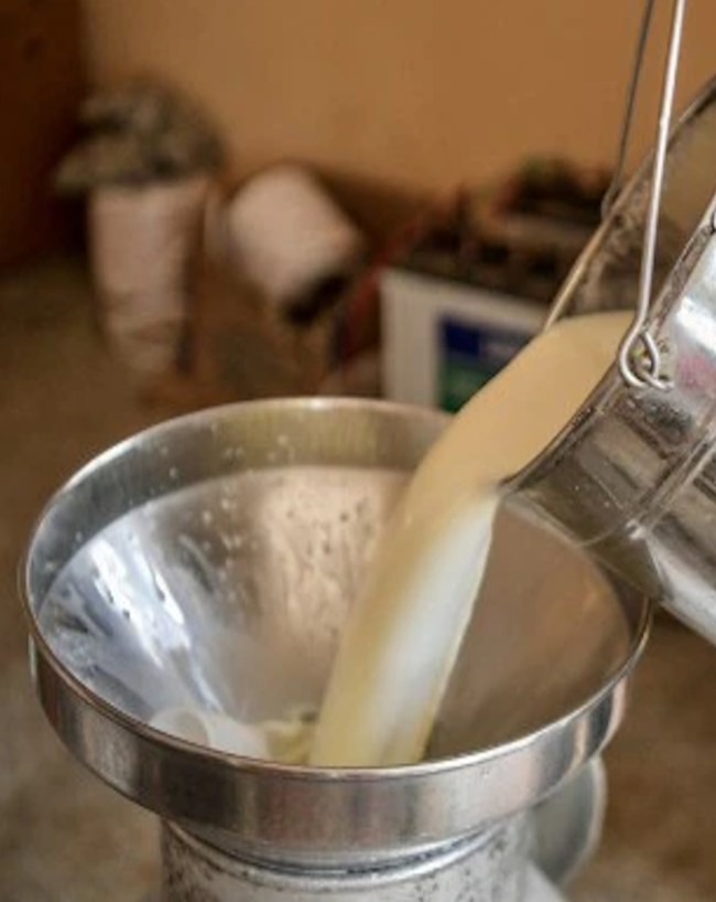 Non veg milk, India US Trade Deal, Blood Meal, Dairy Products Import, Bovine Spongiform Encephalopathy-1-2-3-4