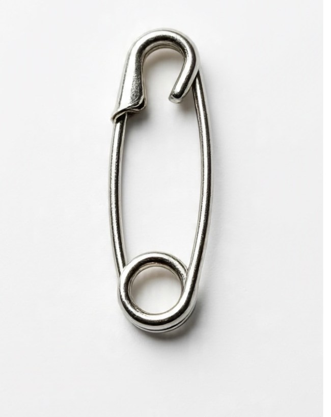 Safety Pin.jpg -1-2