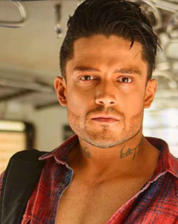 सिद्धार्थ भारद्वाज ने इन शोज से बनाई पहचान