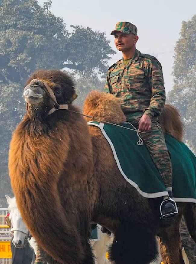 2 कूबड़ वाले ऊंट की खासियतें