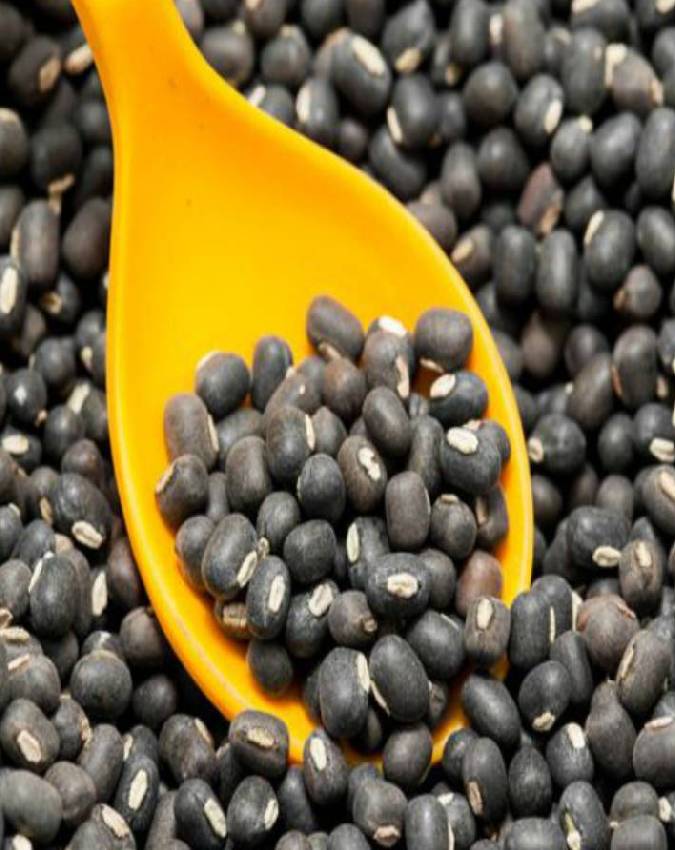 Shani ke upay -1-2-3-4-5-6-7