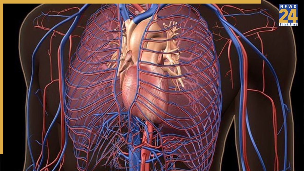 30 days Meat fasting effects on body-1
