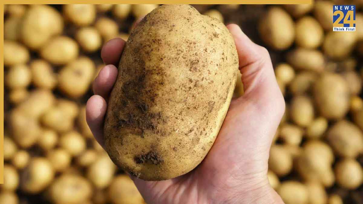 आलू के साथ क्या नहीं खाना चाहिए? डाइजेशन पर पड़ता है सीधा असर