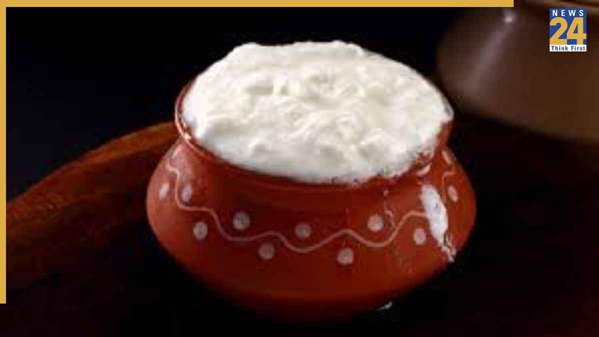 Curd Storage Tips: 45 डिग्री तापमान में भी नहीं होगा दही खट्टा, दिनों तक रहेगा फ्रेश