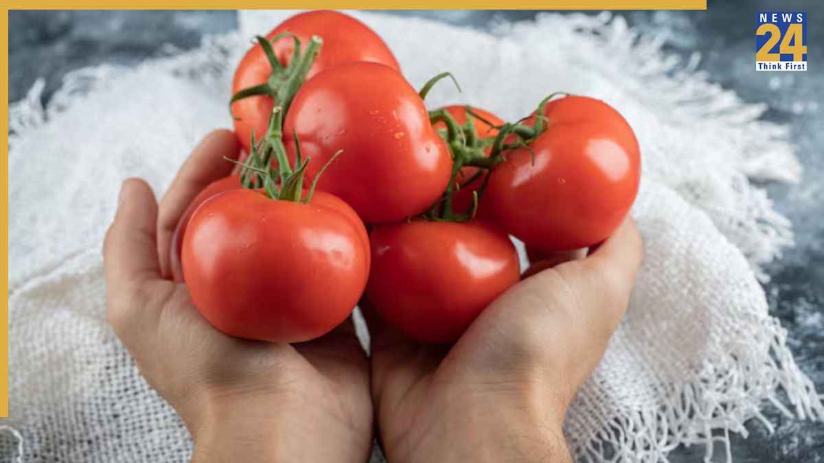 Tomato Storage Tips: गर्मी की वजह से सड़ रहे हैं टमाटर? ये 5 टिप्स अपनाने के बाद नहीं होंगे खराब