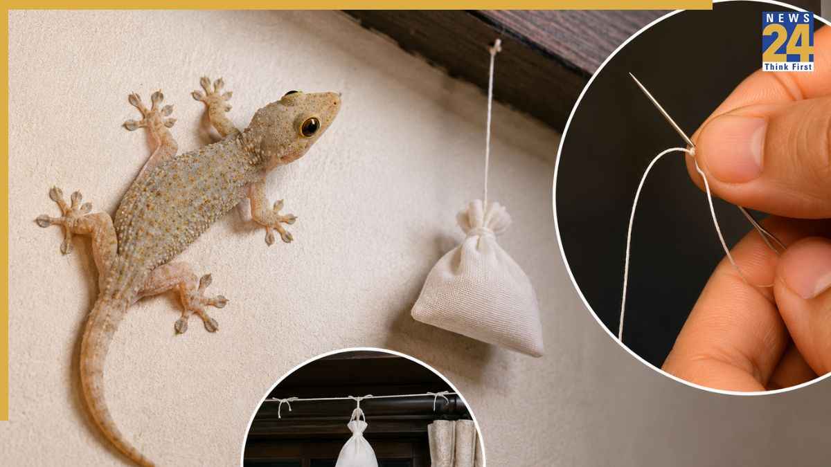 Sui Dhaga Lizards Hacks