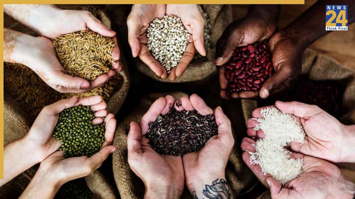 गर्मियों में महिलाओं को क्यों खाना चाहिए मगज? जानिए इसके चौंकाने वाले फायदे