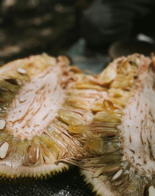 Benefits Of Eating Jackfruit-1-2-3