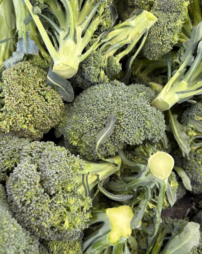 arthritis foods to eat-1-2