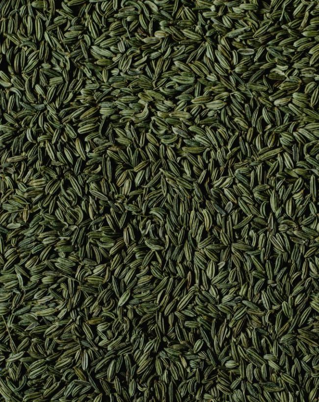 Fennel Seeds For Acidity-1-2