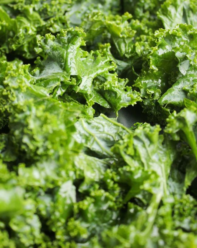 Calcium Rich Foods-1-2-3-4-5
