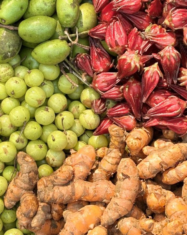 Who Should Avoid Amla-1-2-3