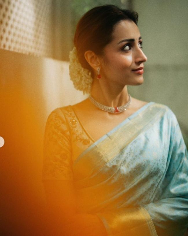 Trisha Krishnan Instagram post Vijay-1-2