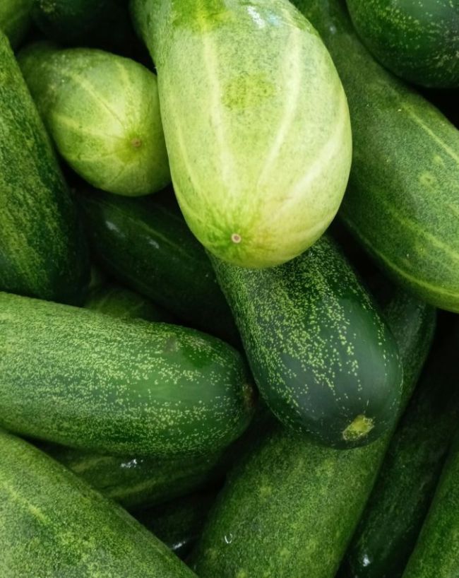 Who Should avoid Cucumber-1-2-3-4-5-6