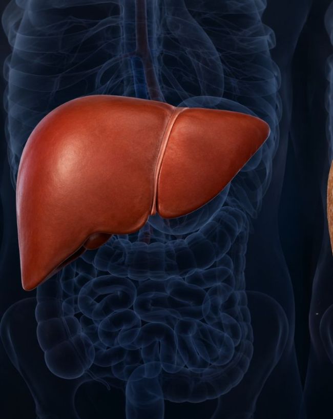 Fatty Liver Signs in Feet-1-2-3-4-5-6-7