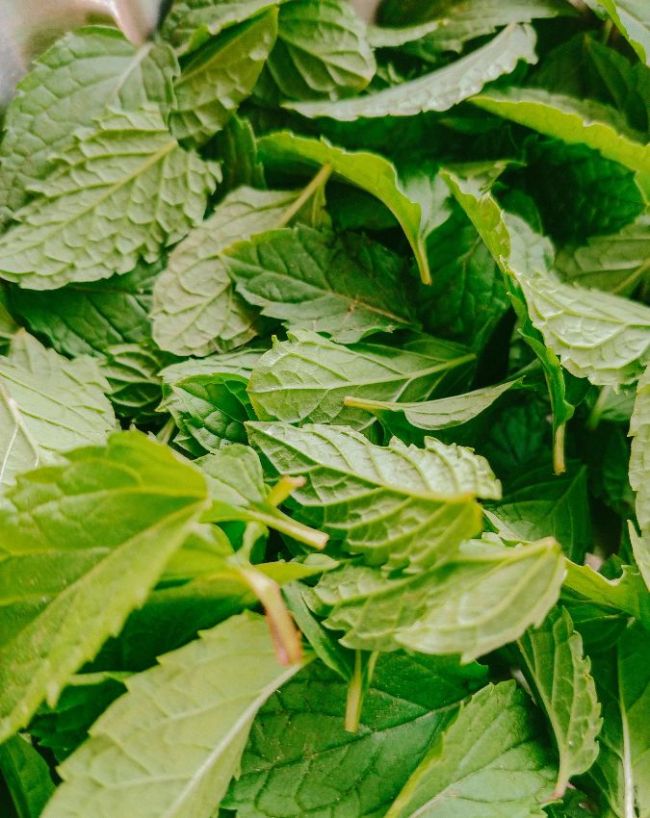 Mint water benefits-1-2-3-4-5