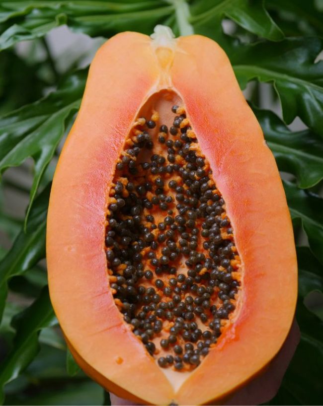 Benefits Of Eating Papaya Seeds-1-2-3