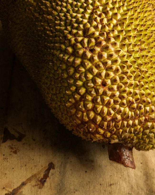 Benefits Of Eating Jackfruit-1-2-3-4