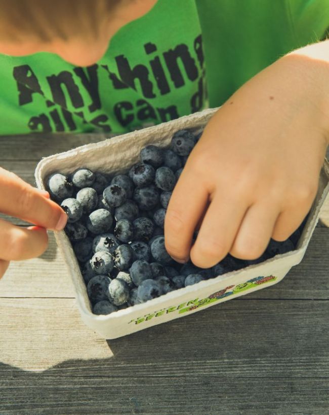 Blueberries Benefits in hindi-1-2-3-4-5