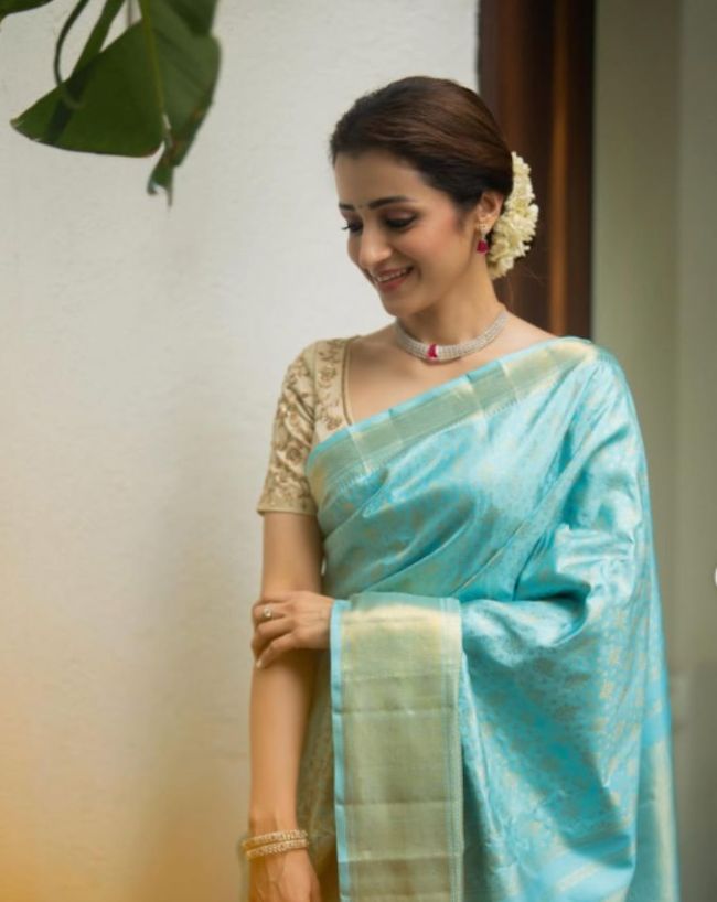Trisha Krishnan Instagram post Vijay-1-2-3-4
