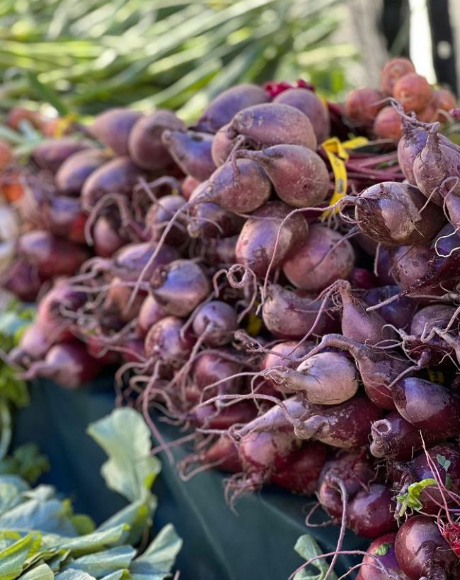 Beetroot Side Effects-1-2-3-4-5-6