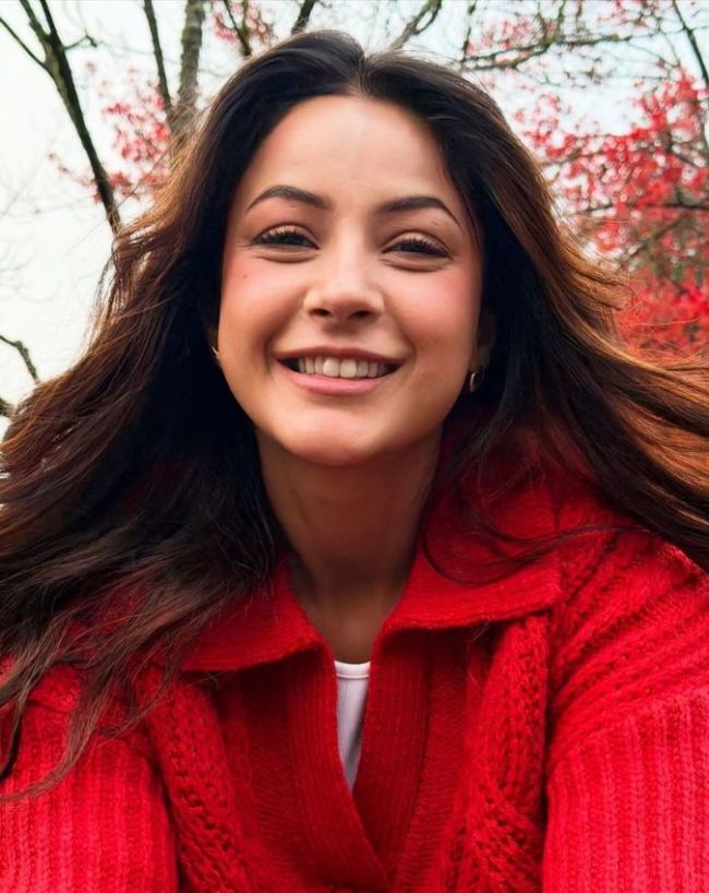 Shehnaaz Gill Devdutt Padikkal dating rumors-1-2-3