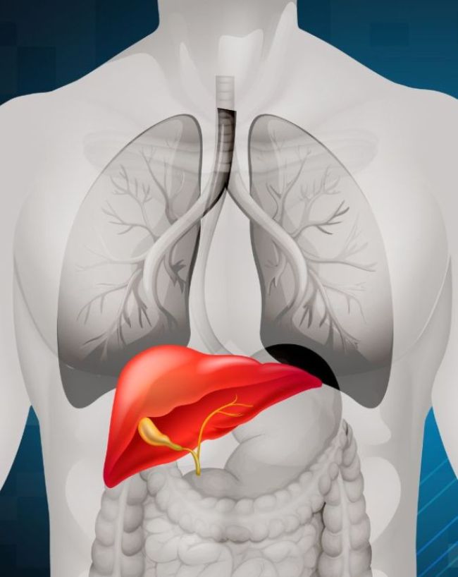 Liver cirrhosis symptoms-1-2-3-4-5-6