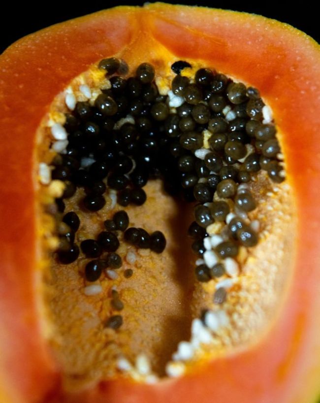 Benefits Of Eating Papaya Seeds-1-2-3-4